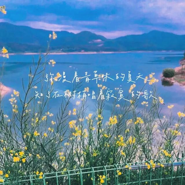 简单生活心态的句子一句话怎么写,正能量励志语录短句,心态阳光的句子