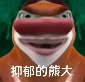 表情包｜变形版熊大熊二