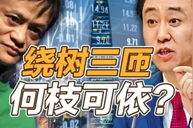 司马南：马云转回来了，许家印缓过来了图片