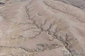 巴彦淖尔出现“大地之树”景观图片
