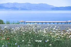 新疆自助游包车价格/新疆包车自驾价格/南北疆6-10天路线推荐图片