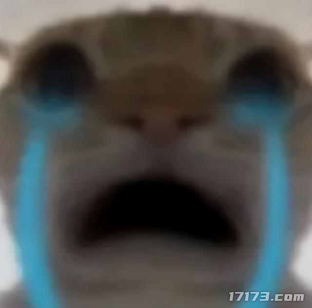 太癫了！千万玩家集体「指猫为鼠」，还成了腾讯王牌游戏的新宠儿