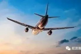 达美回国航班中途返航，多个入境客航临时取消缘起飞机排队消杀？图片