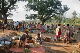 印度种姓制度的前世今生图片