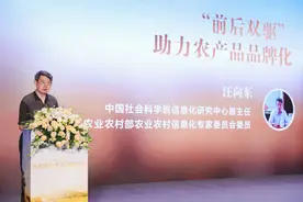 “前后双驱”，助力农产品品牌化——七谈电商升级促进农业数字化图片