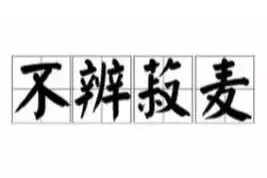 一日一成语：不辨菽麦图片