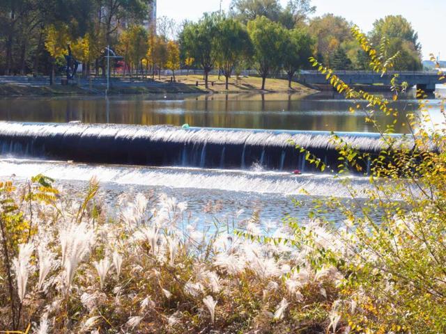 最新实拍！烟台鱼鸟河“顶级秋色”加载中