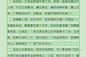 300字~500字小学作文《一件有意义、(难忘、开心)的事》图片