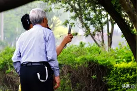 人到晚年，必须遵守的四大定律图片