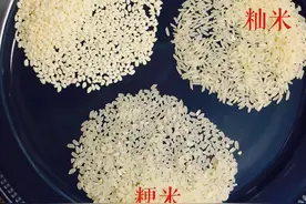 蒸米饭只会加水，难怪发黏不好吃！多加2味料，米饭清香颗粒分明图片