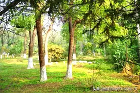 葬礼结束后有什么讲究吗？-明月网图片