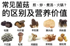 常见菌菇的区别及其营养价值图片