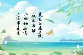 手绘·夏至丨如夏花一样绚烂绽放图片
