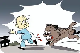 猫抓狗咬后第一时间做这些，可以降低感染风险图片