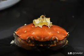 躲在蟹壳里的蟹和尚图片