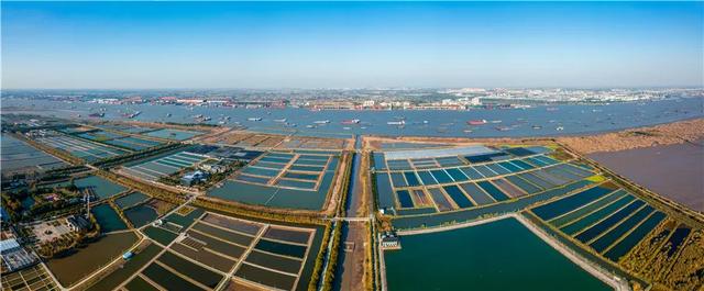 չѶ | ����ʱ���������ս�������������������������ա���Ӱ��չ��Ļ