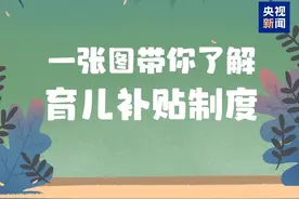 各月份出生婴幼儿，补贴金额对照表出炉！图片