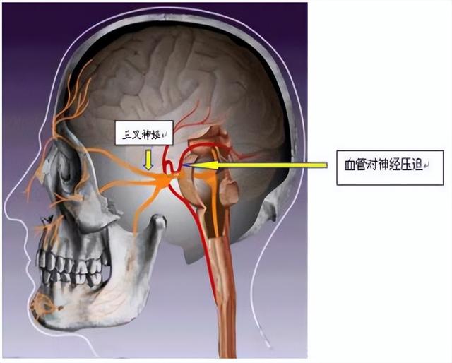 鐢查挻鑳虹敤鑽?澶х蹇岃娉ㄦ剰锛佺鐢ㄤ汉缇ゅ凡鍏紑鐖嗘枡锛屾偍鏄惁鍦ㄥ叾涓紵
