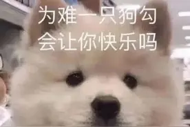 表情包|没关系，又活了一天，已经很厉害了图片