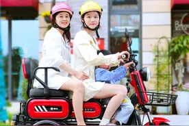 这2款电动小三轮，价格2800元起，适合老年人代步用，关键能上牌图片