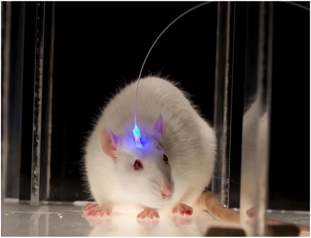 鐢查挻鑳虹敤鑽?澶х蹇岃娉ㄦ剰锛佺鐢ㄤ汉缇ゅ凡鍏紑鐖嗘枡锛屾偍鏄惁鍦ㄥ叾涓紵