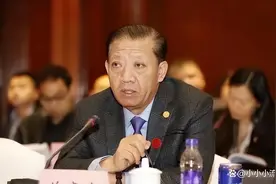 葵花药业老总，与女秘书有染，离婚给了妻子九个亿图片