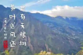 饮酒诗钞第六十六——三丰花与酒，重阳九月九图片