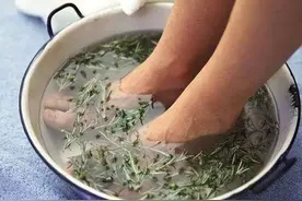 睡前坚持用艾叶泡脚，或能改善5类问题，不妨一试图片