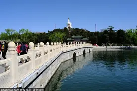 春风里听鸽哨，晴空下望白塔，京城专属“浪漫”！图片