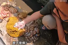 中国小伙巴铁街头捡下水吃，遭当地人围观嘲笑吐唾沫，网友却馋了图片