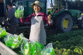 逃离狗屁工作，我去新西兰做快乐的日结工图片