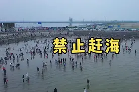 潍坊滨海“禁止赶海”，引发网友热议……图片