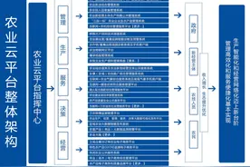 智慧数字乡村农业大数据平台全套解决方案（PPT）图片