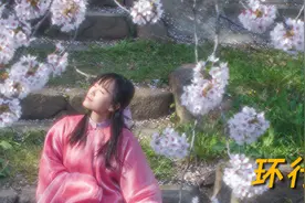 日本，沉迷樱花不能自拔图片