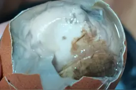 活珠子，又名毛蛋，味道鲜美图片