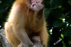 儿童睡前故事图片