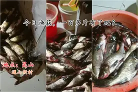 江苏男子一天射鱼上百斤，网友热议：锚鱼已明确入刑，射鱼呢？图片