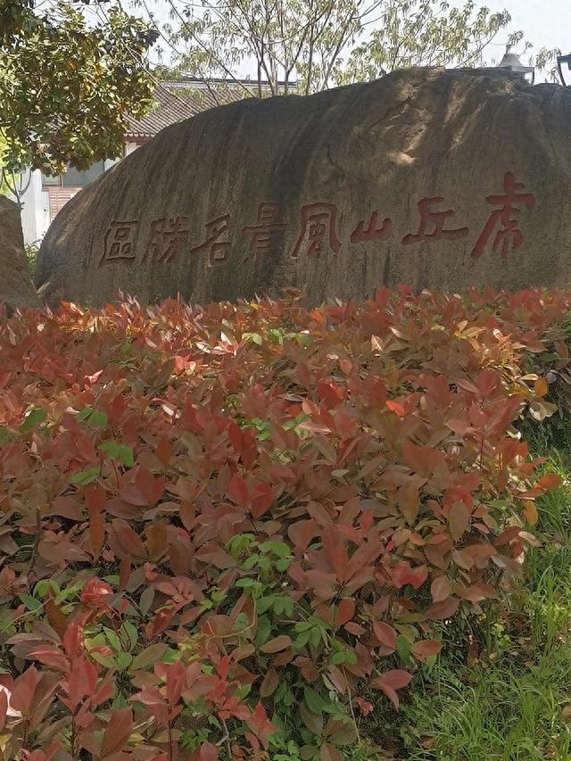 虎丘游玩攻略(虎丘到山塘街游船门票)