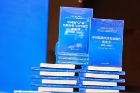 蓝皮书显示我国油气产销呈现“两增两减” 新能源被寄予厚望图片