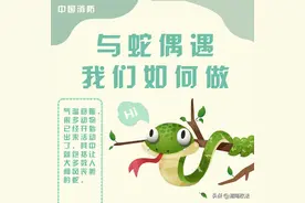 警惕！陕西已发现多起，遇到立刻报警图片