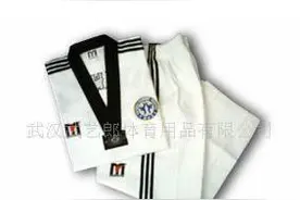 跆拳道ITF与WTF的区别？图片