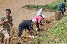还能再种2年地？“集中耕种”下，土地归谁又该如何继承？早知晓图片