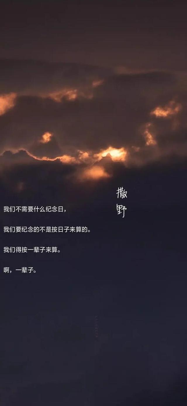 《撒野》里那些值得摘抄的好句