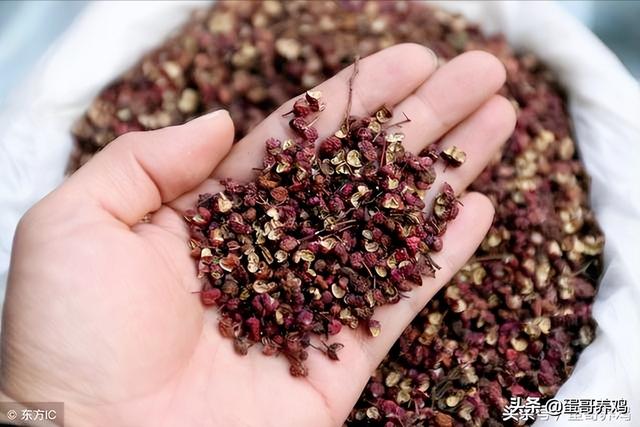 鸡皮肤痒用什么药