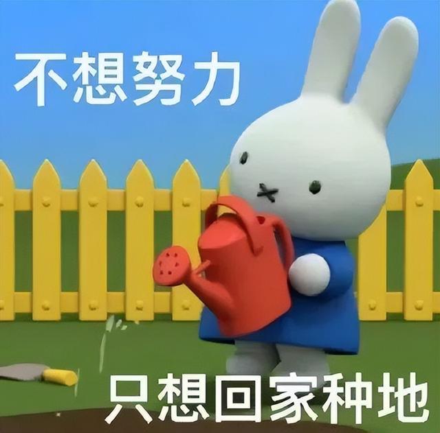 累了毁灭吧表情包