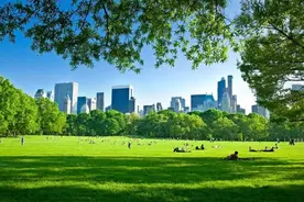 走进城市绿地（第一期）——森林公园，让城市呼吸图片