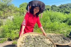 客家山地百草园，曾经香港口口相传的草药秘方，如今已经失传图片