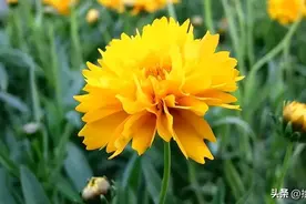 当一个人，身上出现以下三个变化时，往往是厚积薄发的迹象图片