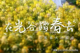 光谷春意盎然，这份踏青攻略请收下图片