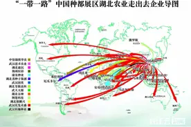 武汉种博会首现国际元素，湖北油菜、水稻、棉花单品出口量全国第一图片